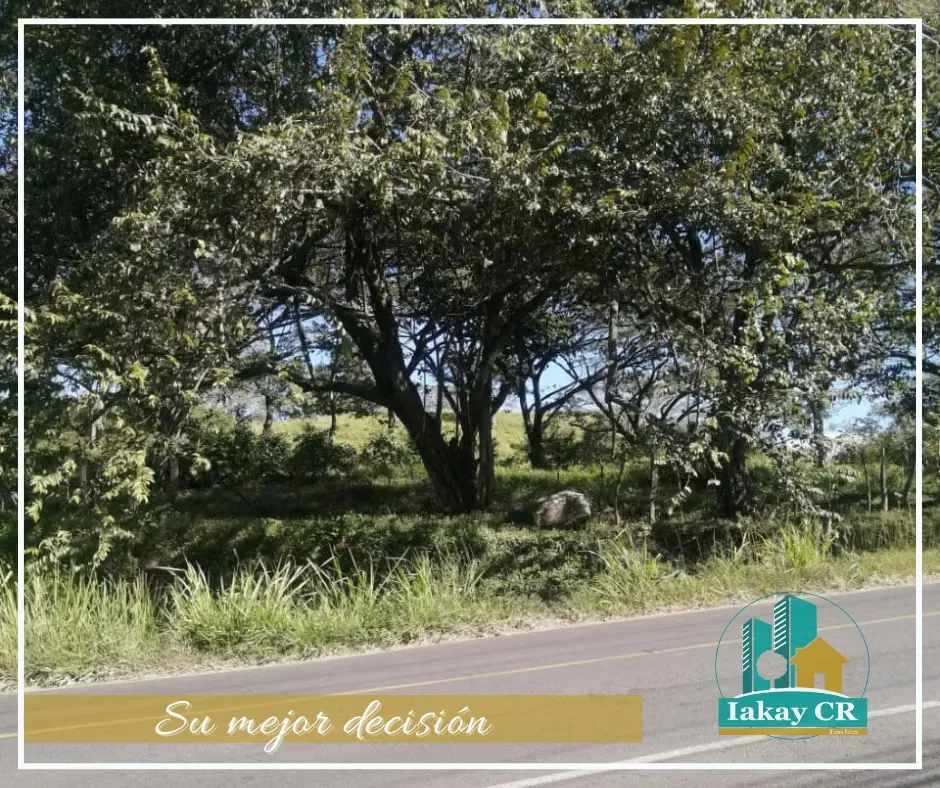 SALE LAND FOR HOUSING DEVELOPMENT LA GARITA
