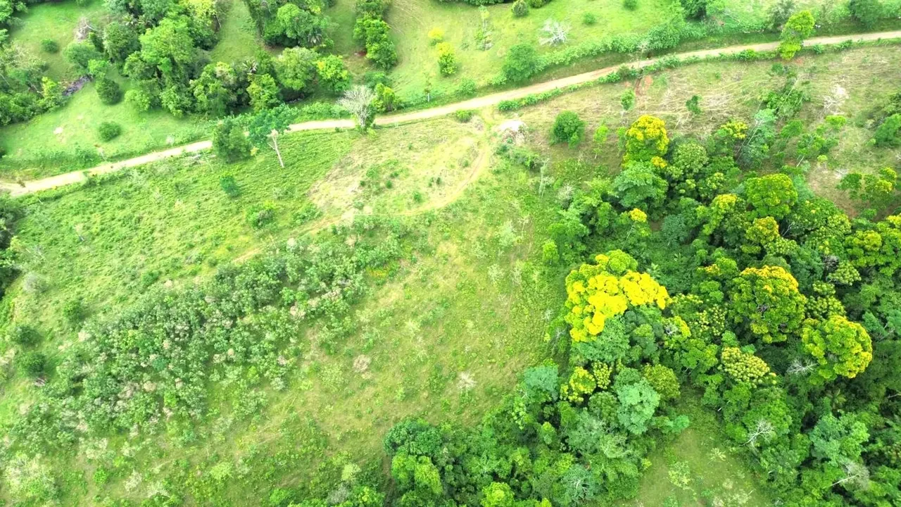 For sale farm Alajuela Upala 118 hectareas