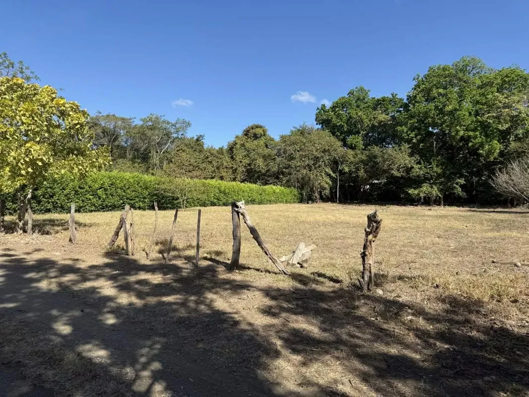 Lote de 5,000 m² en Playa Potrero – Oportunidad de Desarrollo