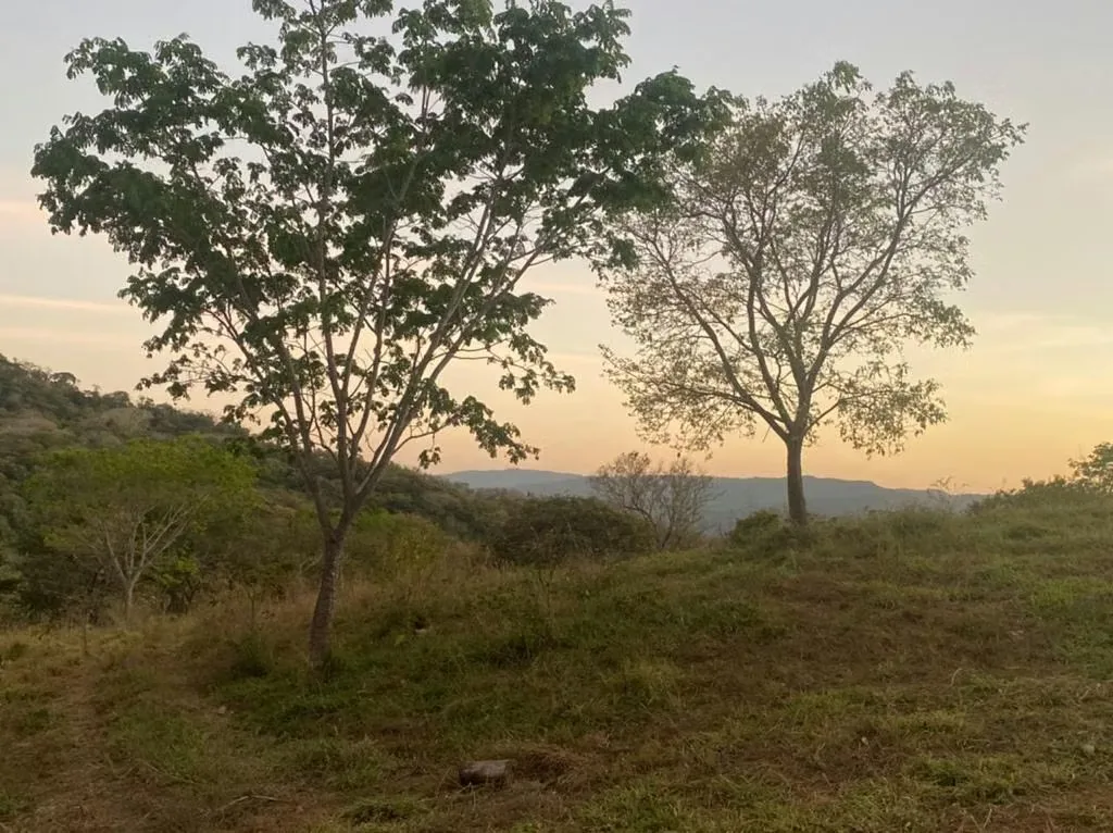 Finca Ganadera en Venta en El Espabelar, Nicoya, Guanacaste
