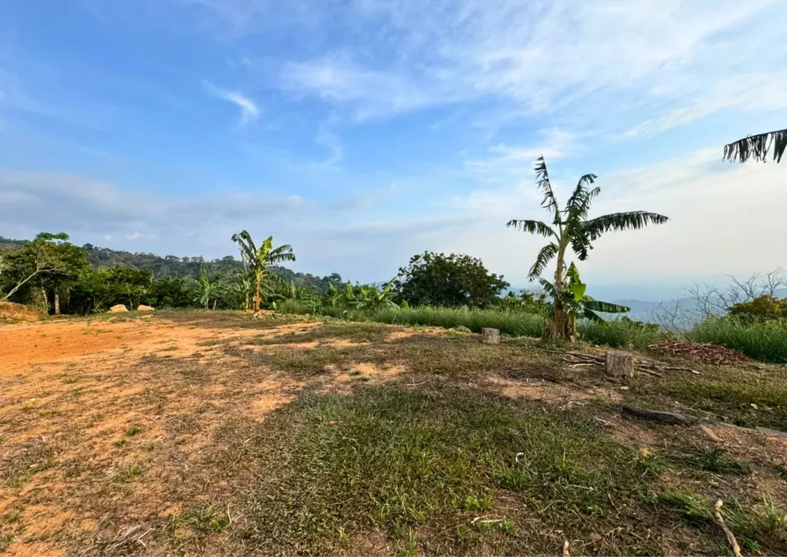 Spectacular View Lot for Sale in San Rafael de San Ramón