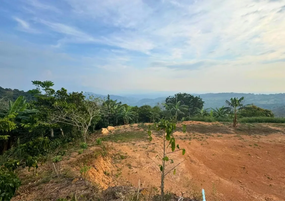 Spectacular View Lot for Sale in San Rafael de San Ramón — photo 4