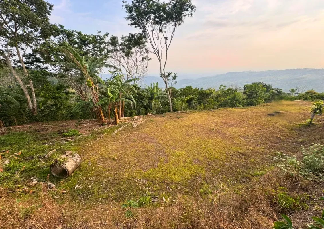 Spectacular View Lot for Sale in San Rafael de San Ramón — photo 5