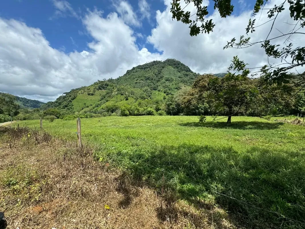 Un Santuario Natural en una de las Regiones Más Privilegiadas de Costa Rica