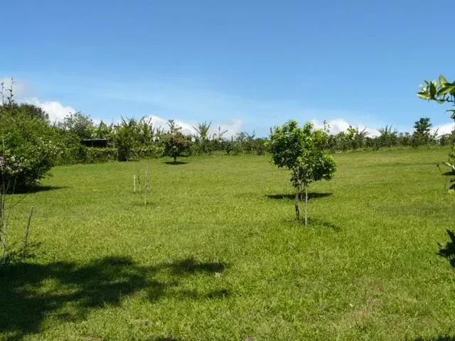 Quinta con 4 Casas en San Isidro de Heredia