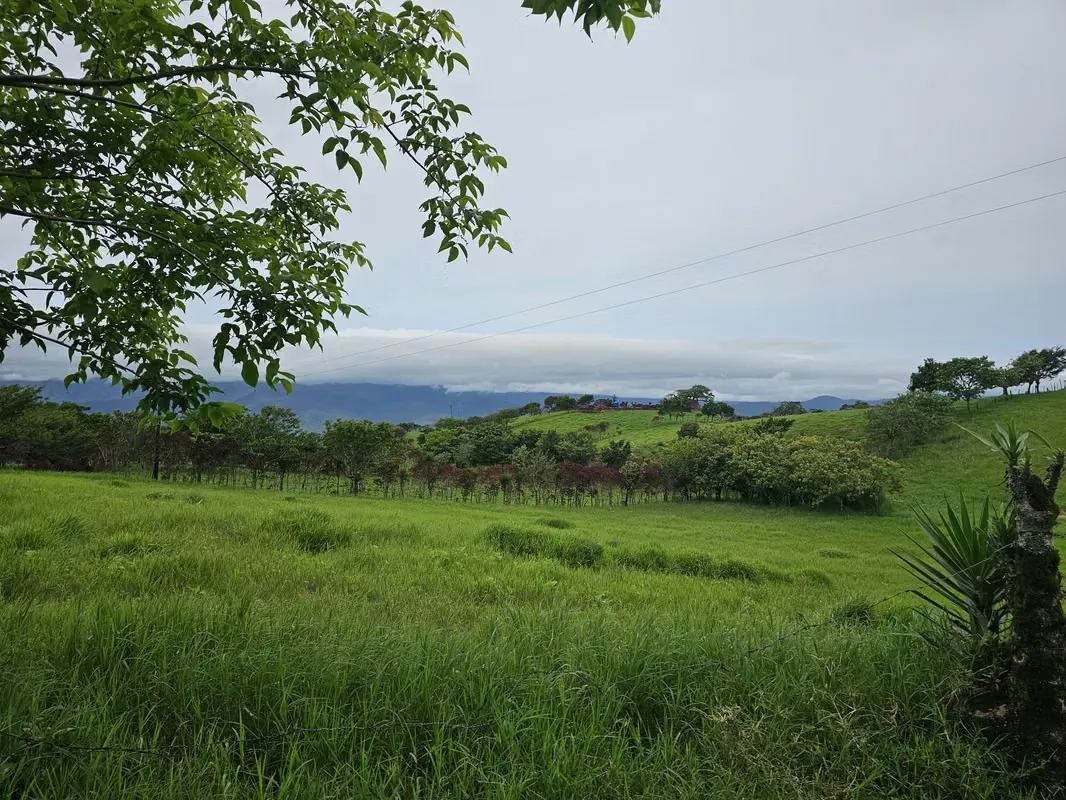 MA Asesoría vende productiva finca lechera en Cartago, con pastos mejorados y la infraestructura detallada a ...