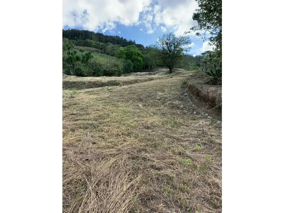 VENTA DE HERMOSA PROPIEDAD SAN RAMON, ALAJUELA 4048 (GC)