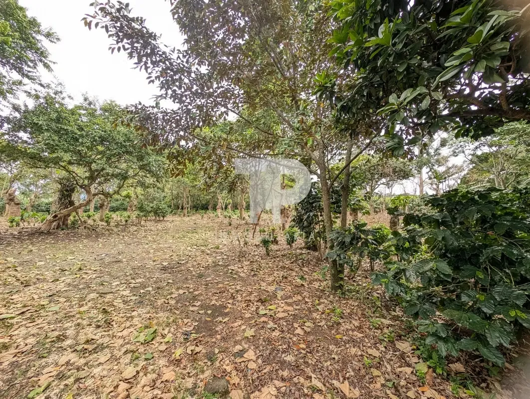 LAND FOR SALE BETWEEN SAN PABLO AND SANTO DOMINGO, HEREDIA SCG32 — photo 2