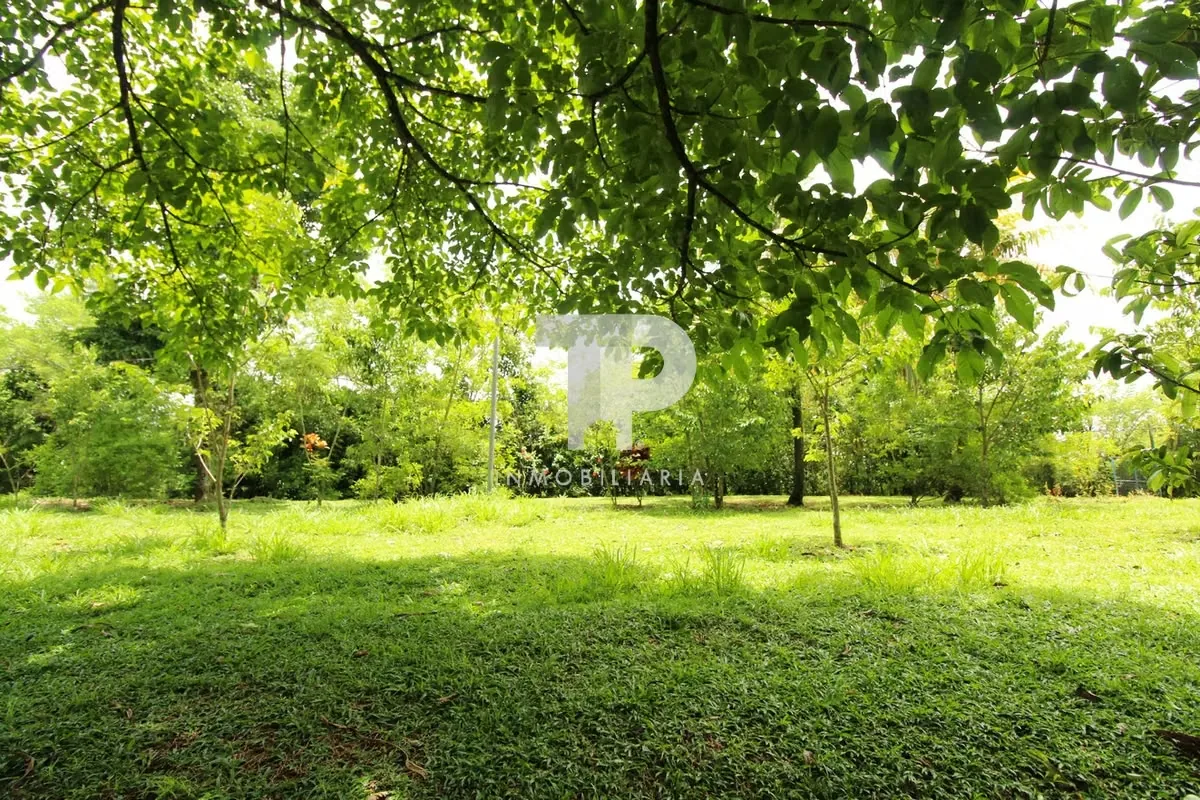 Casa tipo cabaña en Quinta 1.5 hectáreas concepto ecológico botánico a 1 hora de La Fortuna-San Carlos — photo 3