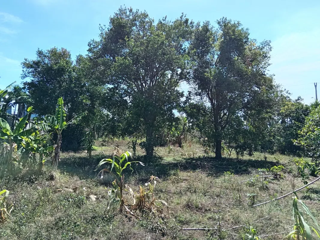 MA Asesoría vende Hermosa Finca en Concepción de San Rafael, Heredia.
