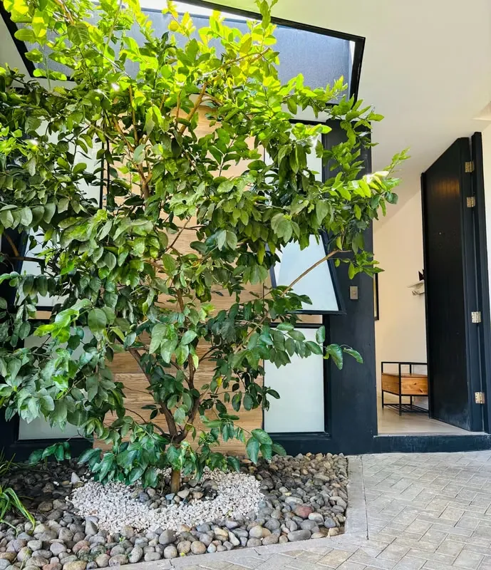 House for sale in Santa Ana, Evora Condominium