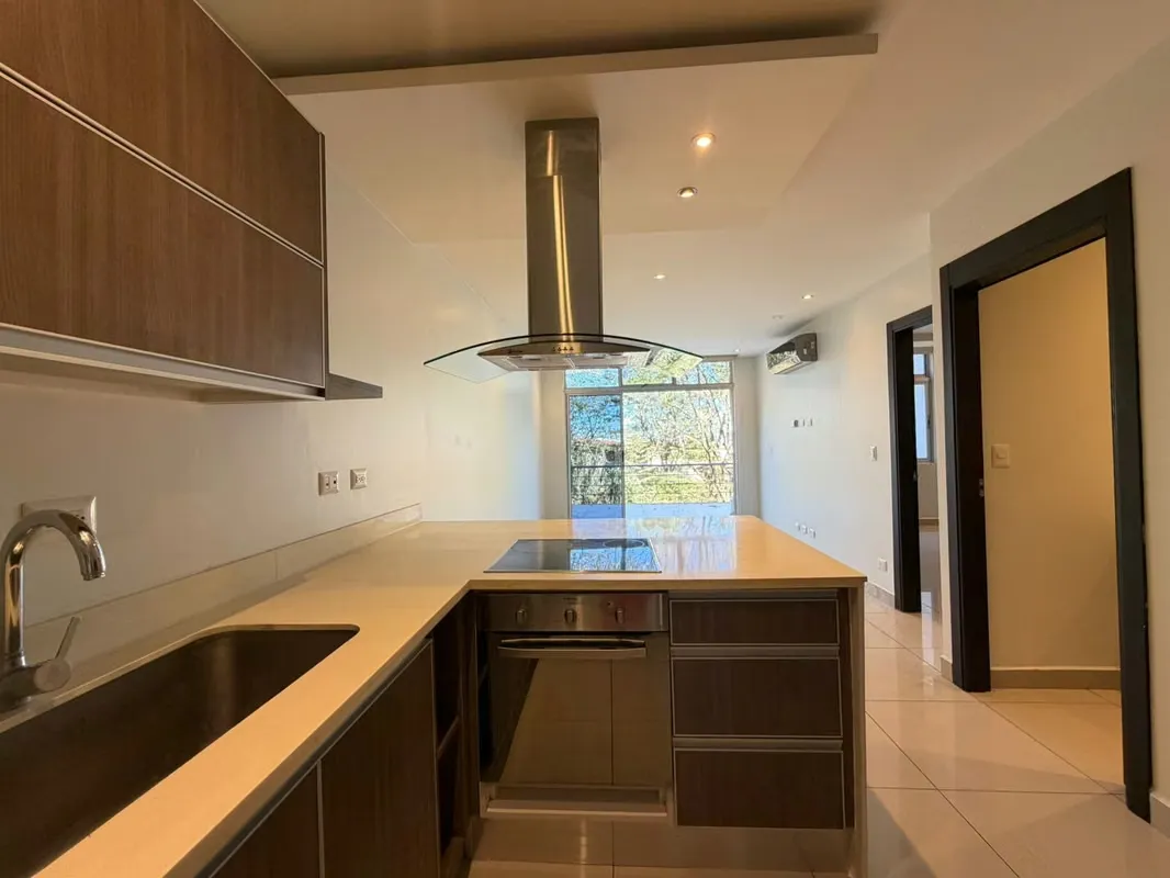 * White line (Refri, Template, Oven, Extractor, Washing and Dryer)