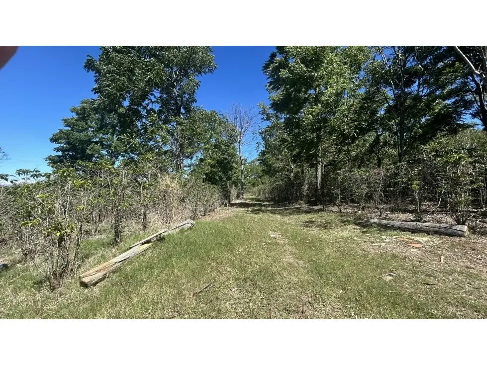 Venta de Espectacular Finca para Desarrollo Inmobiliario, San Pablo de Barva, Heredia — photo 2