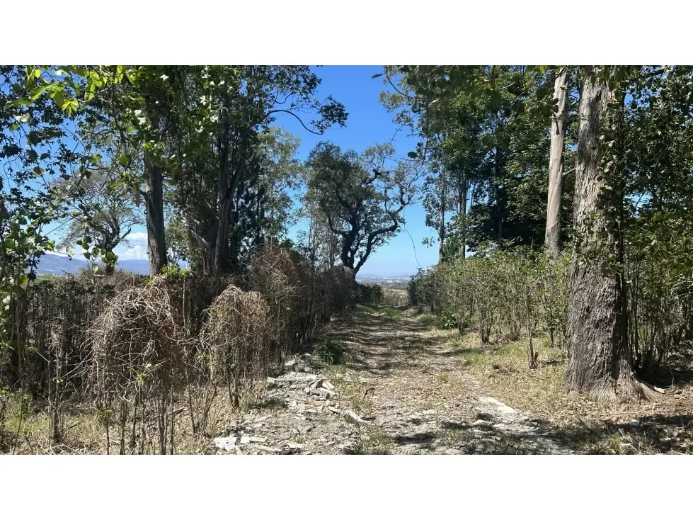 Venta de Espectacular Finca para Desarrollo Inmobiliario, San Pablo de Barva, Heredia — photo 4