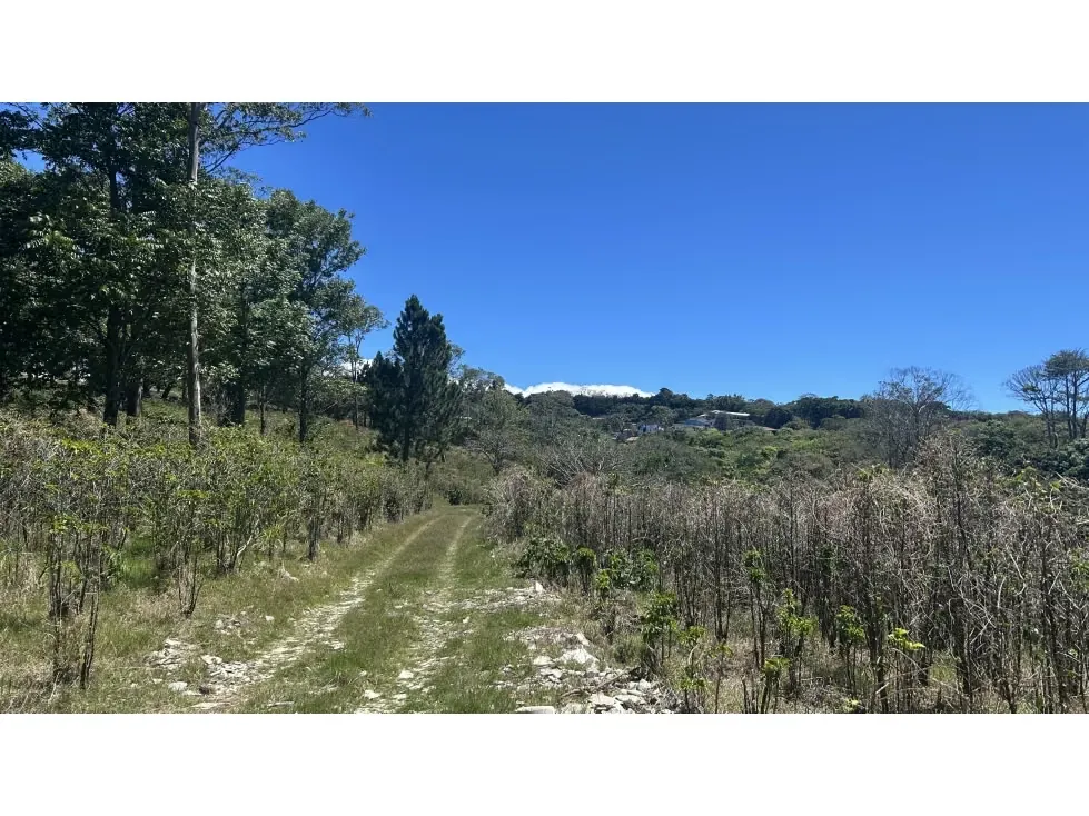 Venta de Espectacular Finca para Desarrollo Inmobiliario, San Pablo de Barva, Heredia — photo 5