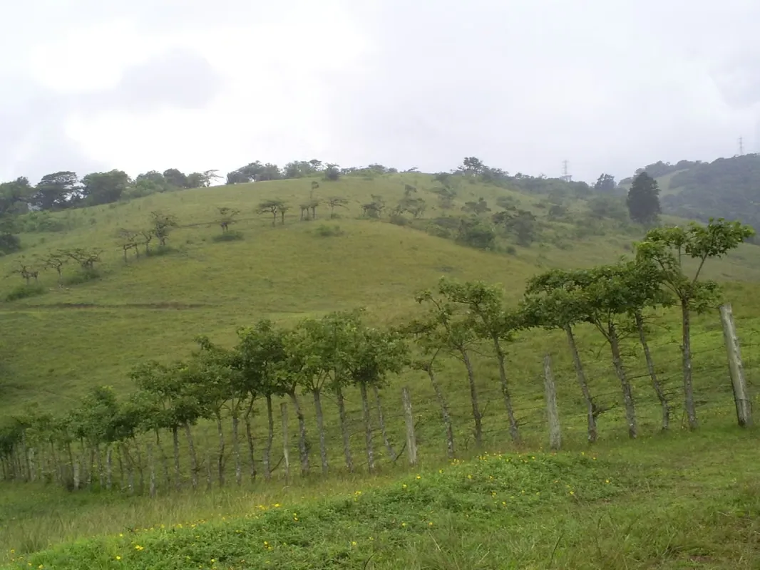 Especial finca con Uso de Suelo Industrial Tipo 3 ubicada muy cerca de la ruta nacional 1, por el Cristo ...
