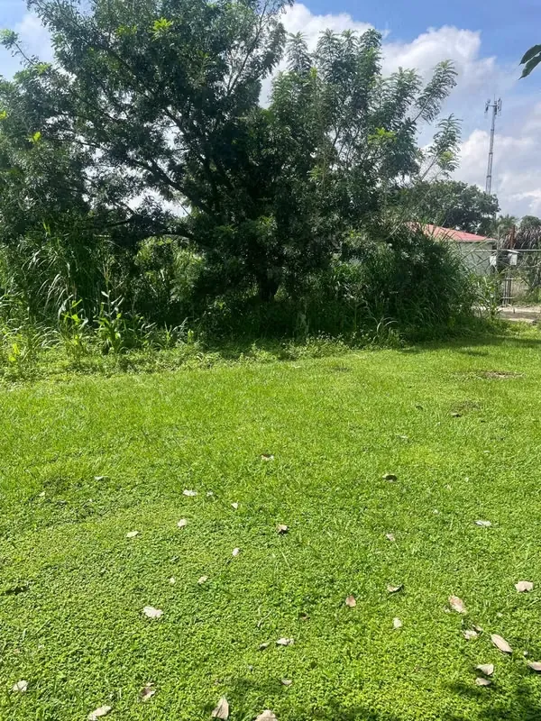 I sell nice lot in San Lorenzo de Flores.