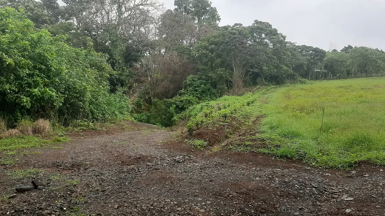 SELL FARM IN UNPROTECTED ALAJUELA AT GOOD PRICE