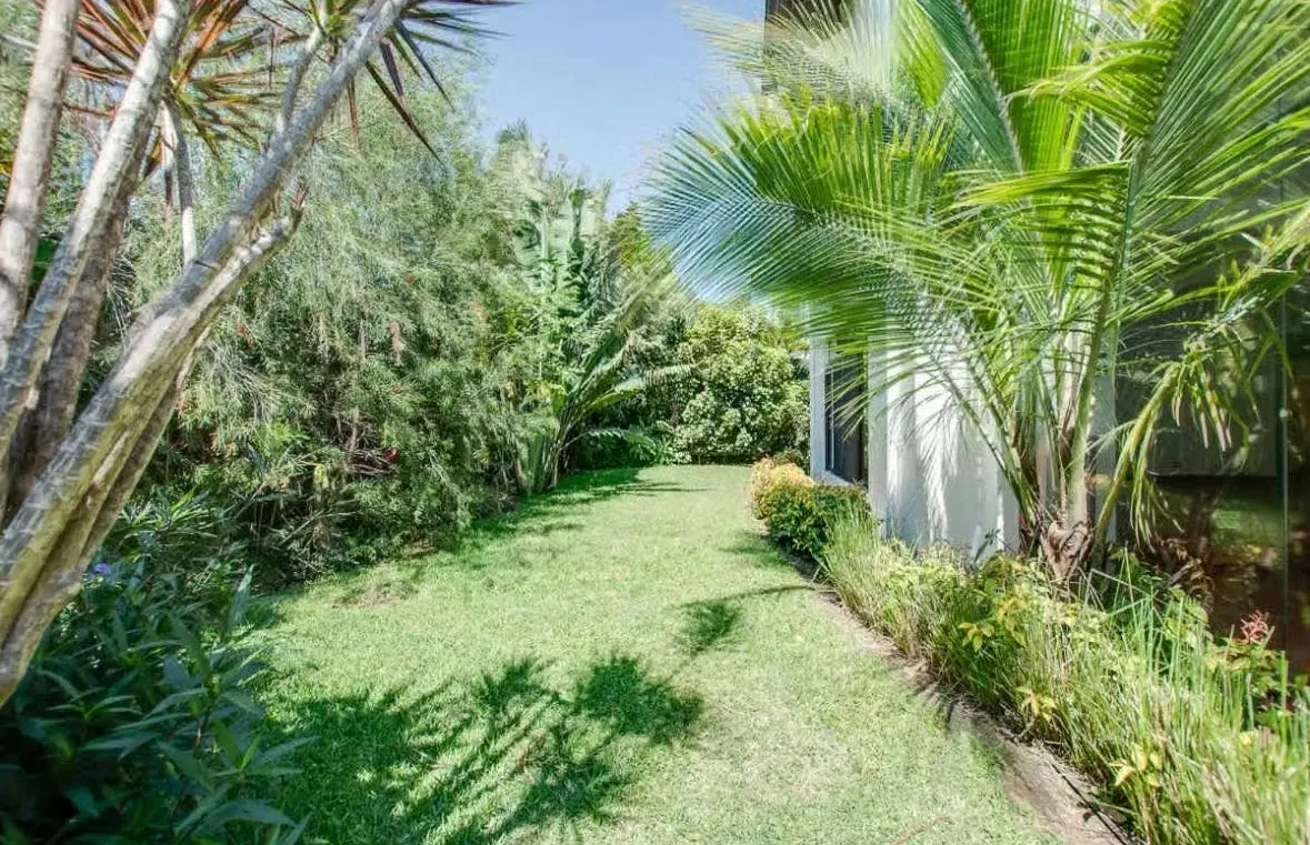 Hermosa casa rodeada de jardines, con finos acabados y una espectacular vista a reserva. ... — photo 4