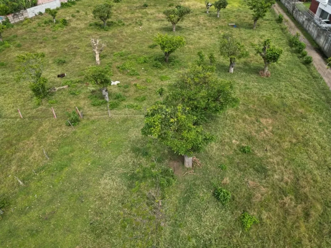 Lote de 6.235 m² ubicado en San Vicente de Santo Domingo, en una de las zonas residenciales más estables y consolidadas de Heredia. La propiedad ofrece un entorno natural, privacidad ... — photo 2