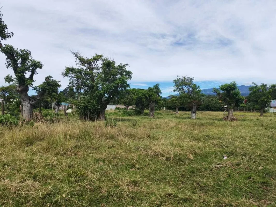 Lote de 6.235 m² ubicado en San Vicente de Santo Domingo, en una de las zonas residenciales más estables y consolidadas de Heredia. La propiedad ofrece un entorno natural, privacidad ... — photo 4