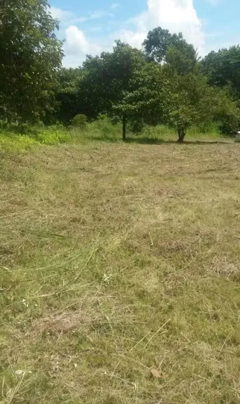 Lot for Sale in Escobal de Orotina