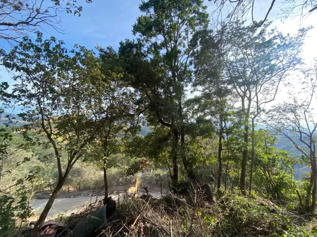 Venta de Terreno en Monte Verde, Puntarenas