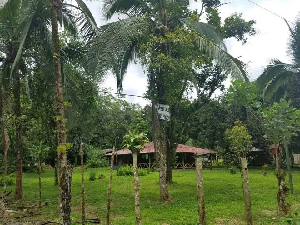 I sell cute finquita in Bambu de Horquetas de Sarapiqui. It's 45,636.91 meters completely flat. 2 front to main street one of them is 370 meters. She's a wreck, born in case she wants ...