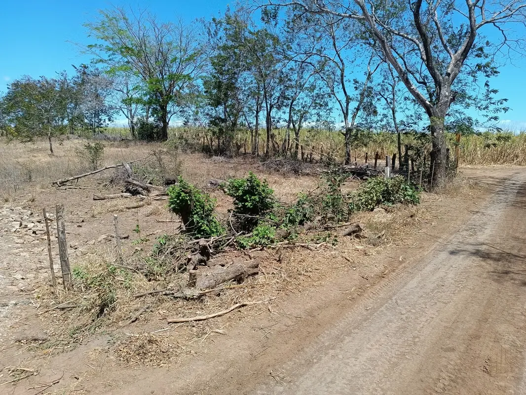 LOTE GUARDIA LIBERIA NACASCOLO