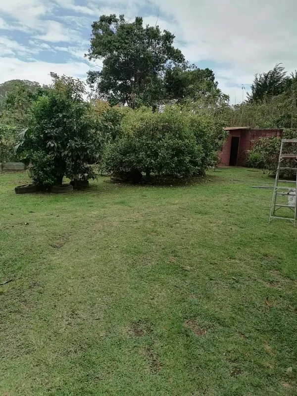 MA Asesorías vende propiedad en San Rafael de montes de Oca, con Uso de Suelo Mixto y 2 casas independientes. — photo 2