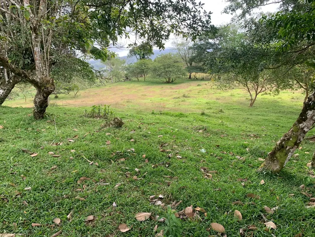 Rodeado de hermosa naturaleza, plano en su mayoría y levemente ondulado, frente a servidumbre, ...