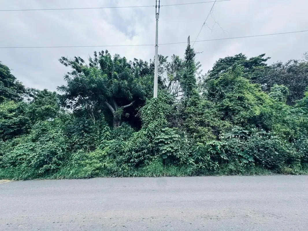 MA Asesorías Vende amplio terreno con Uso de Suelo Mixto en San Roque de Barva, Heredia