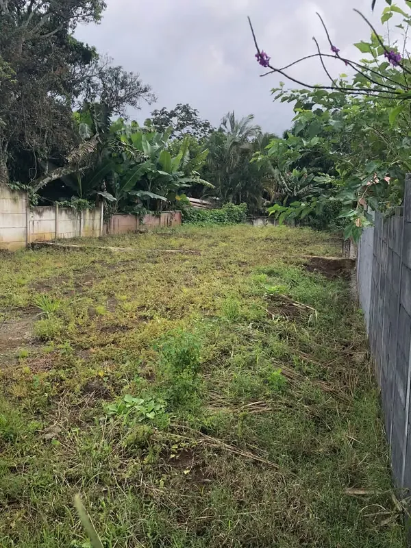 MA Asesoría vende terreno en Palmares ubicado frene a calle pública asfaltada.