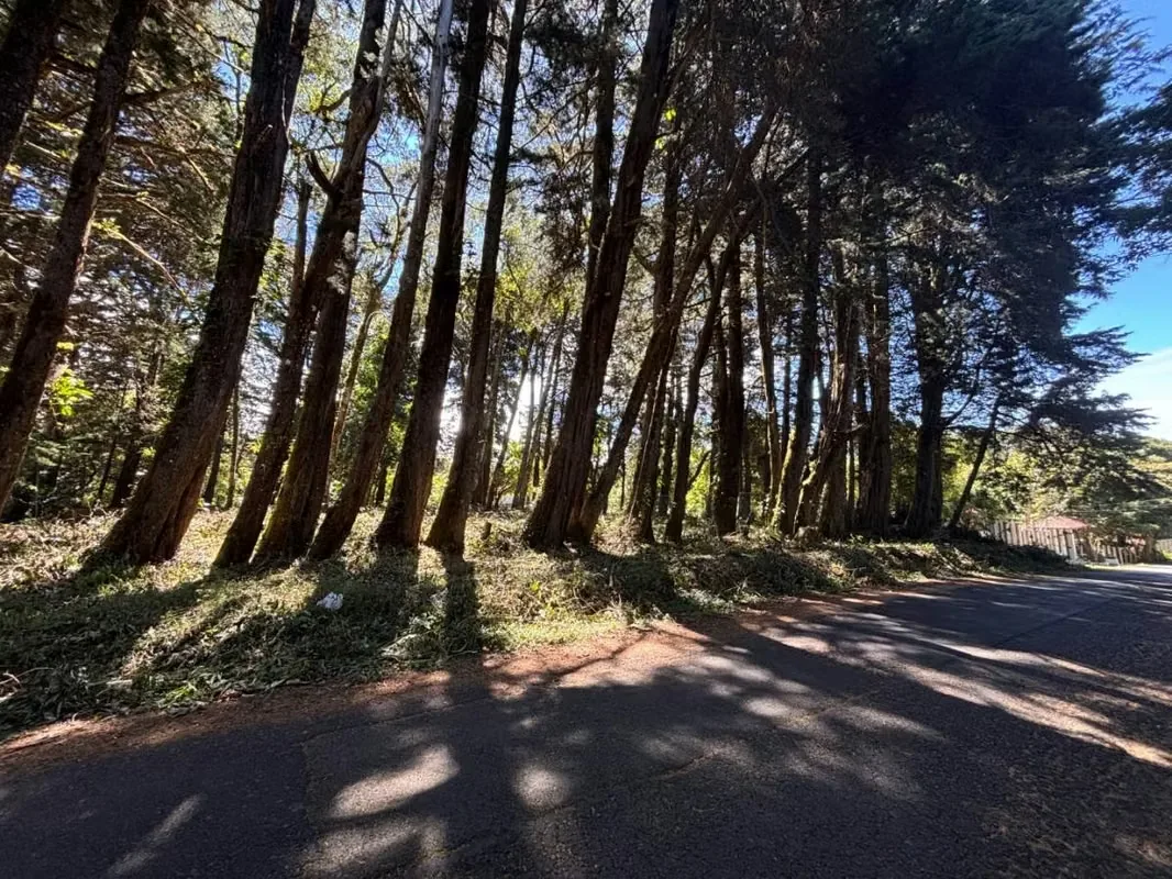 Lot for sale, El Tirol, San Rafael de Heredia