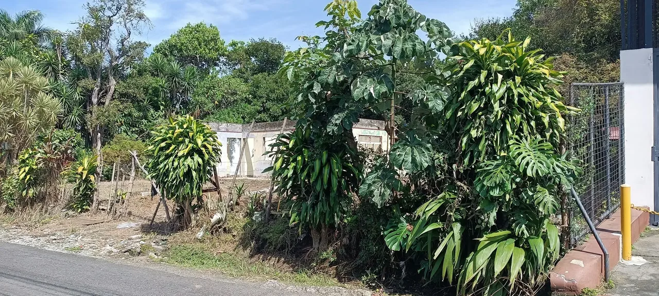 The second river of Alajuela, I sell nice land of 1024 meters. It is 150 metres from the Catholic Church, mixed use, offices, sale of spare parts, washing. It has structure for ...