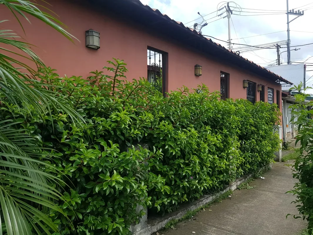Propiedad Uso Mixto en Río Segundo de Alajuela