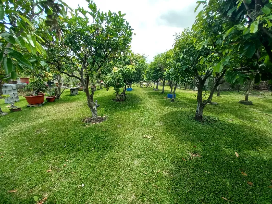 02 / Venta / lote de 3000 mts con casa grande  / Uso suelo 8 casas / San Rafael alto de las palomas