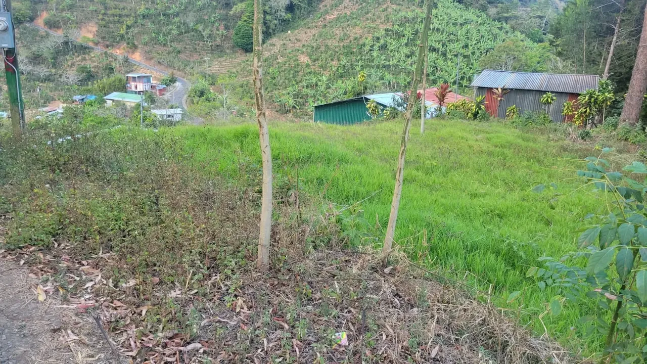 Terreno en venta – 305 m² en Llano Bonito de León Cortés | Sobre carretera nacional