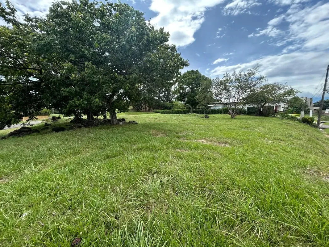 In a very exclusive area, surrounded by nature, tranquility and beautiful green views. An area of 1231 m2 ideal to build your dream house ...