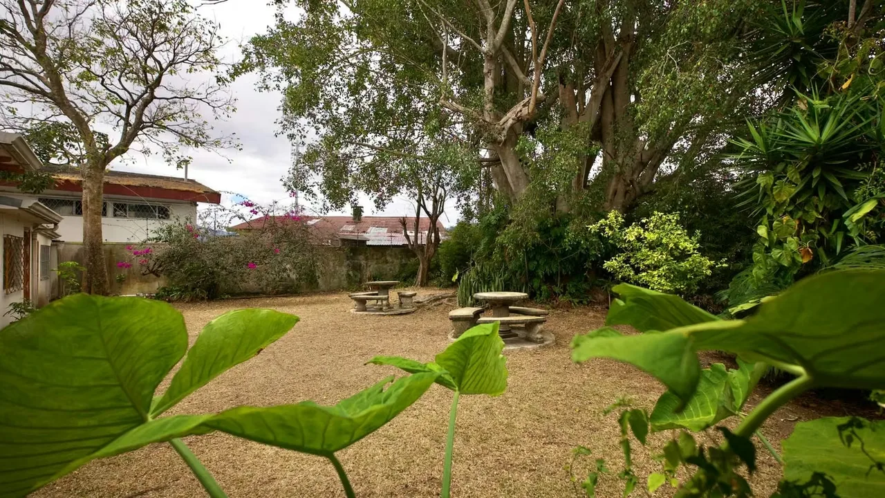 Property with mixed soil use in Los Yoses — photo 3