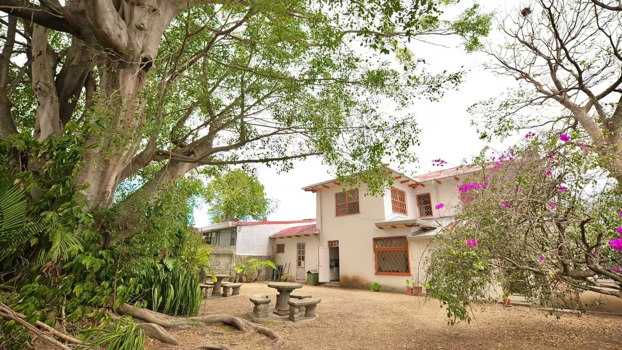 Property with mixed soil use in Los Yoses — photo 4