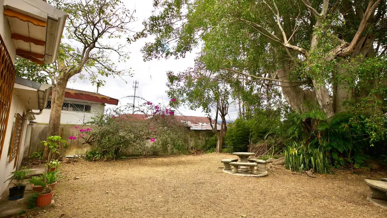 Property with mixed soil use in Los Yoses — photo 5