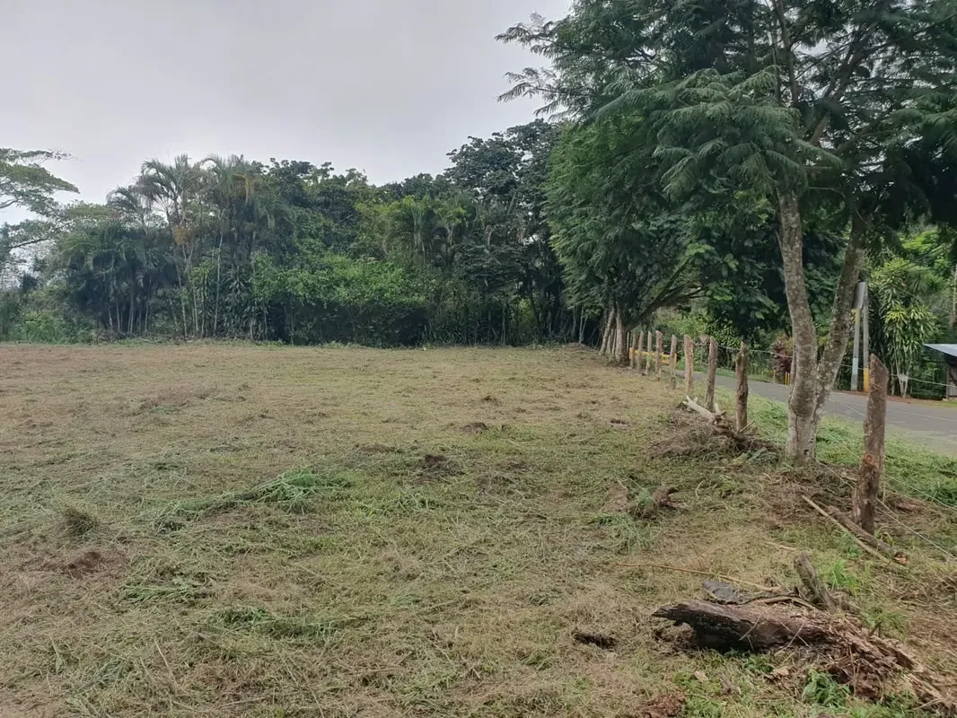 Farms for sale in Santiago de San Ramón, Alajuela