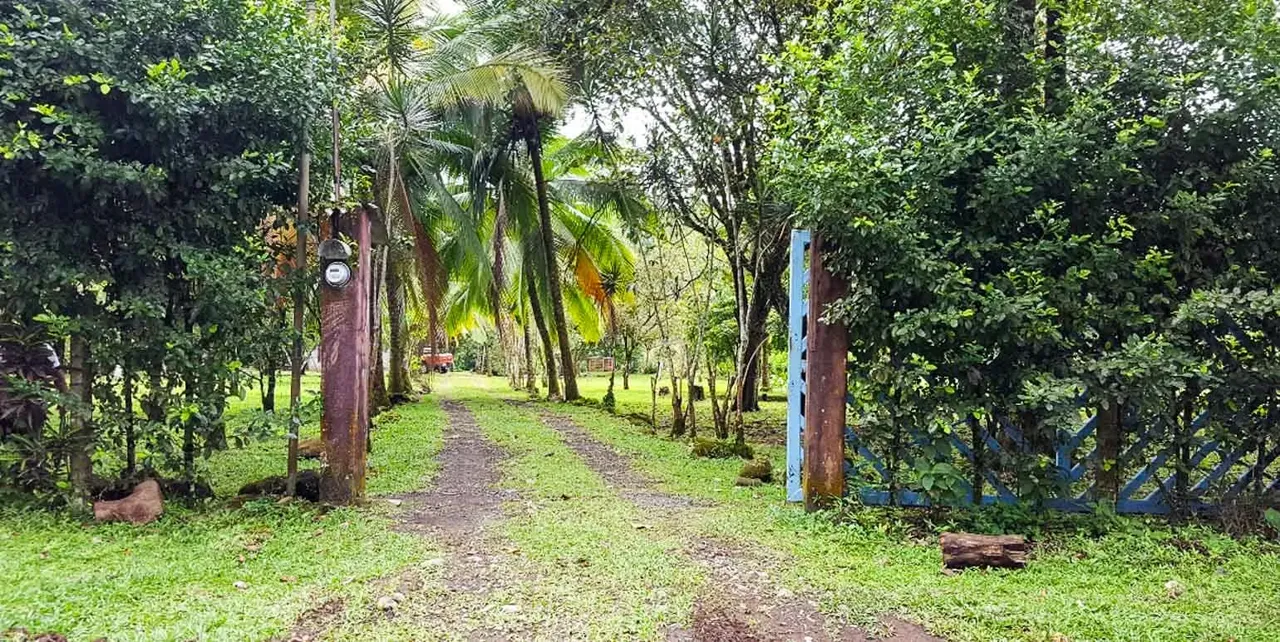 Beautiful land in Jiménez de Pococí