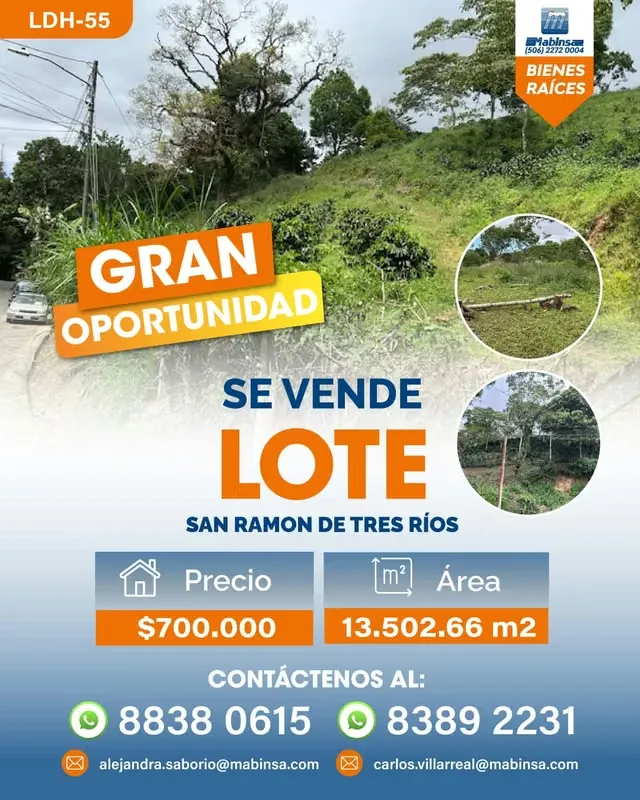LDH-55 | Lote para desarrollo en San Ramón de Tres Ríos