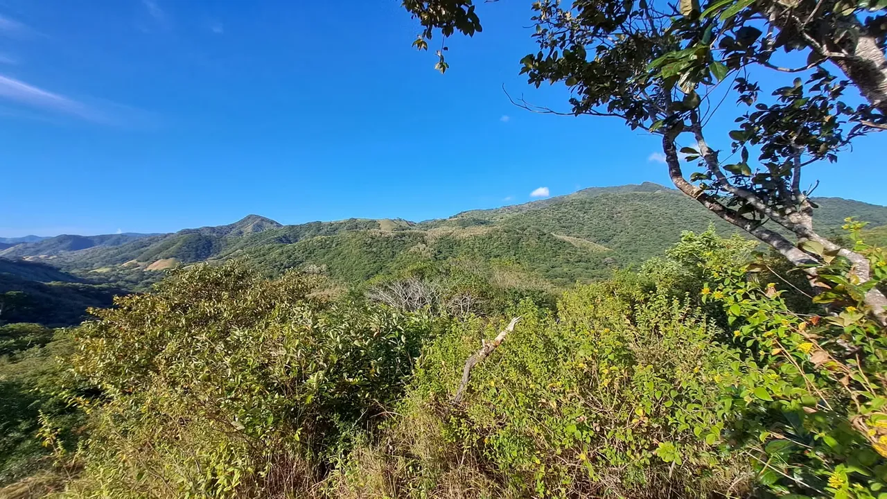 FINCA EN VENTA, NICOYA, GUANACASTE. 137,3 HECT. VISTAS Y RIO .