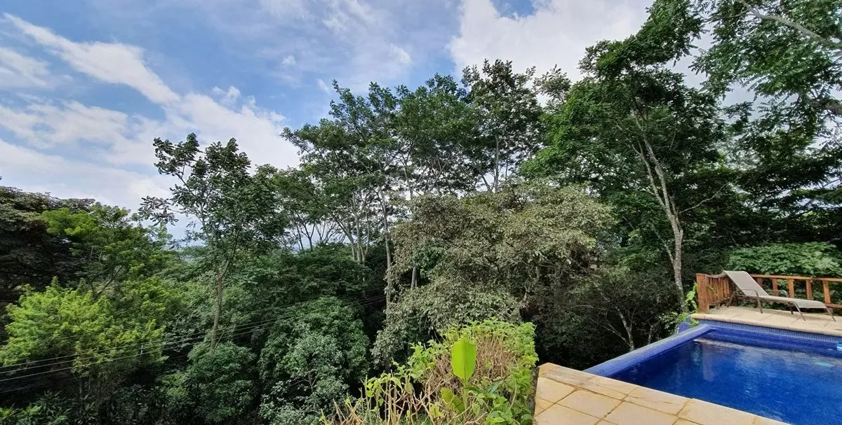 In a wonderful location called El Rodeo, you'll find a beautiful country estate with 11,036 m² of indescribable natural ...