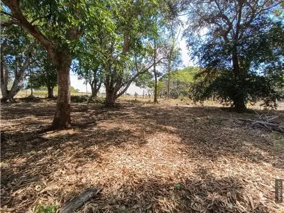 Lotes en Orotina para construcción de casa