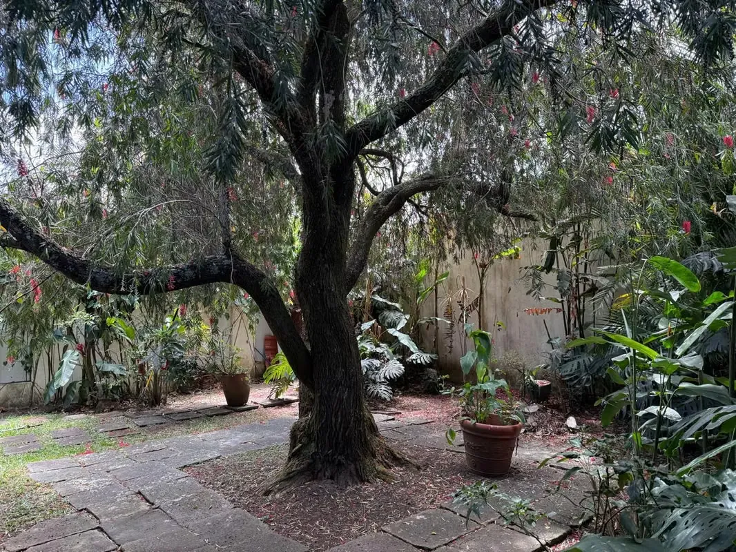 Single-level house for sale in Barrio La Guaria Moravia, 75 meters from Club La Guaria