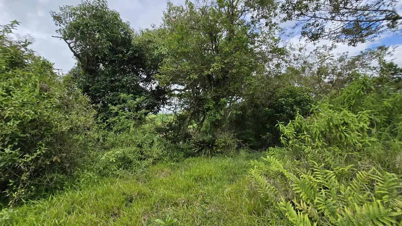 Investment Opportunity – Mixed-Use Development Land in San Jerónimo